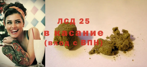 хмурый Абаза