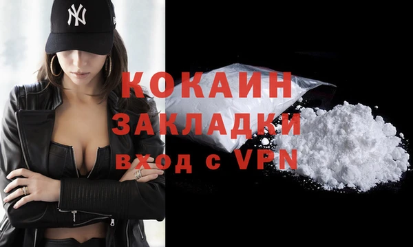 хмурый Абаза