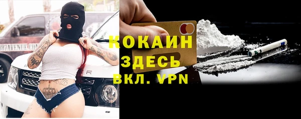 хмурый Абаза