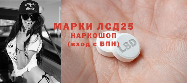 хмурый Абаза