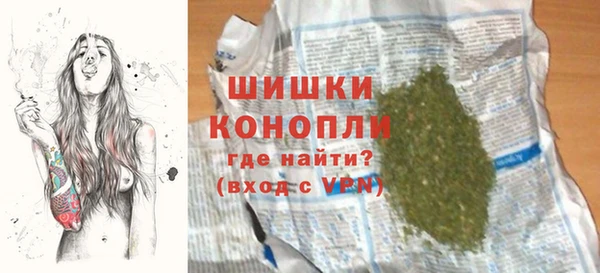 хмурый Абаза