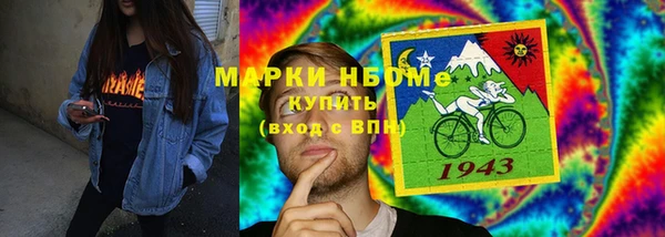 хмурый Абаза