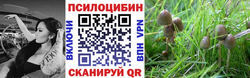 купить наркотики цена  Киренск  Псилоцибиновые грибы Magic Shrooms 